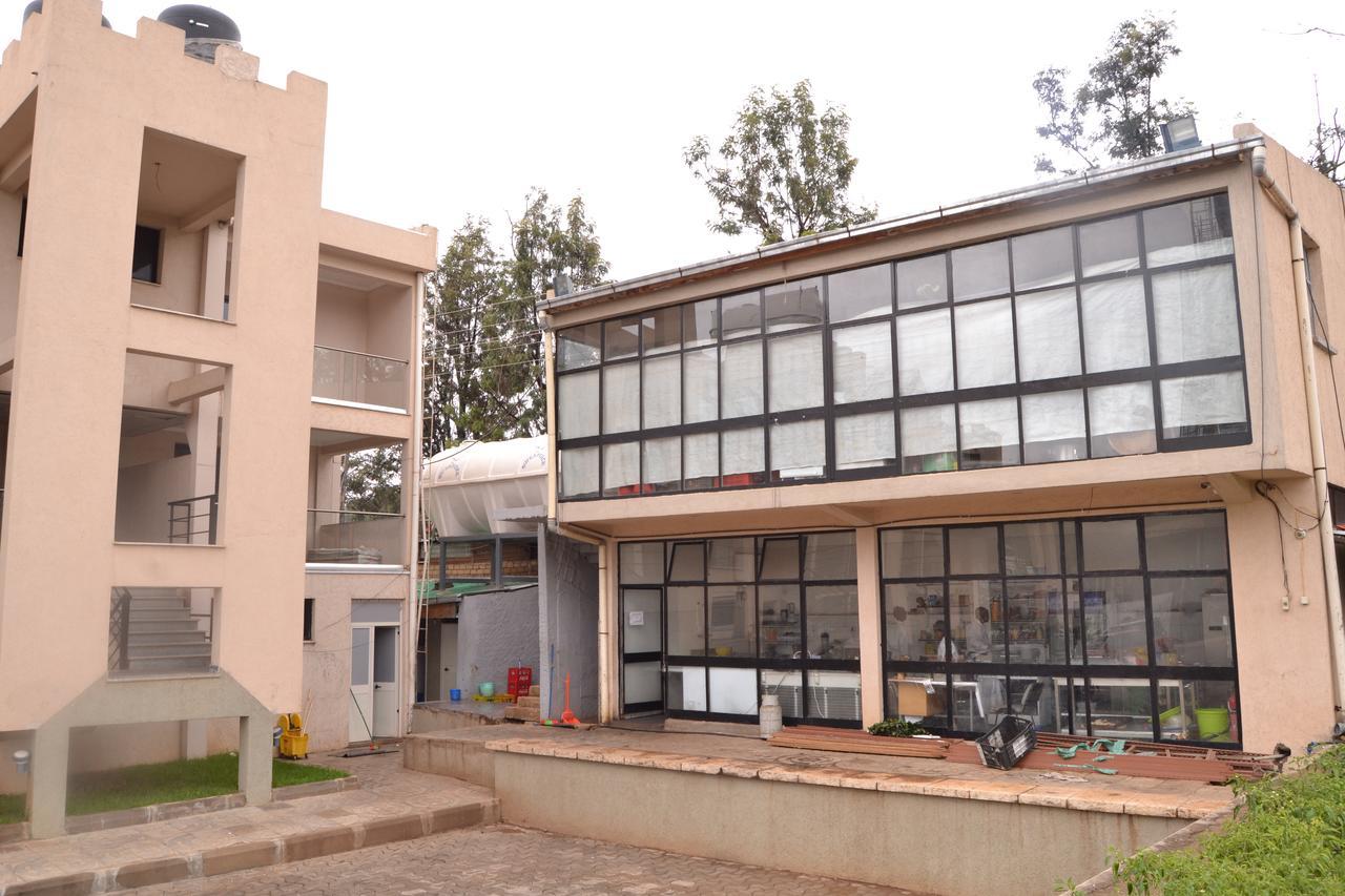 Grand Gato Hotel And Tours Harar Екстер'єр фото